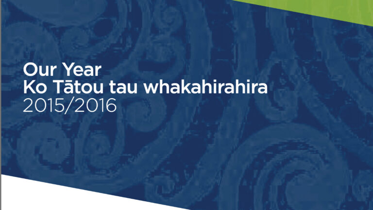 Annual Report 2016, Our Year
