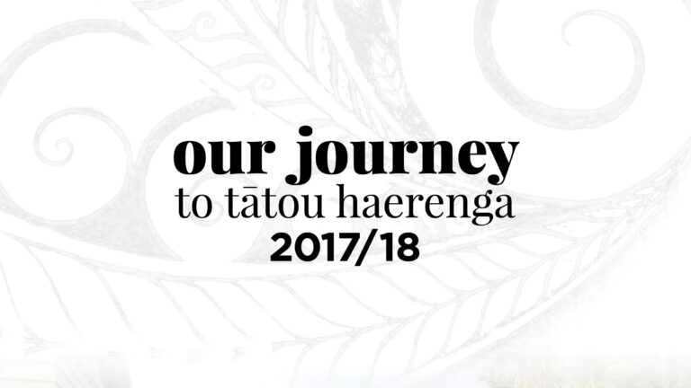 Annual Report 2018, Our Journey