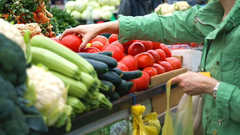 Visionwest Report: Social Supermarket Feasibility