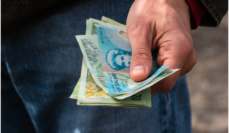 Building Financial Capability Financial Mentors Report