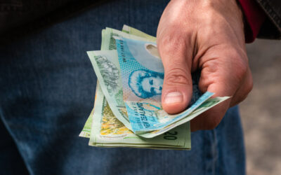 Building Financial Capability – Financial Mentors Report