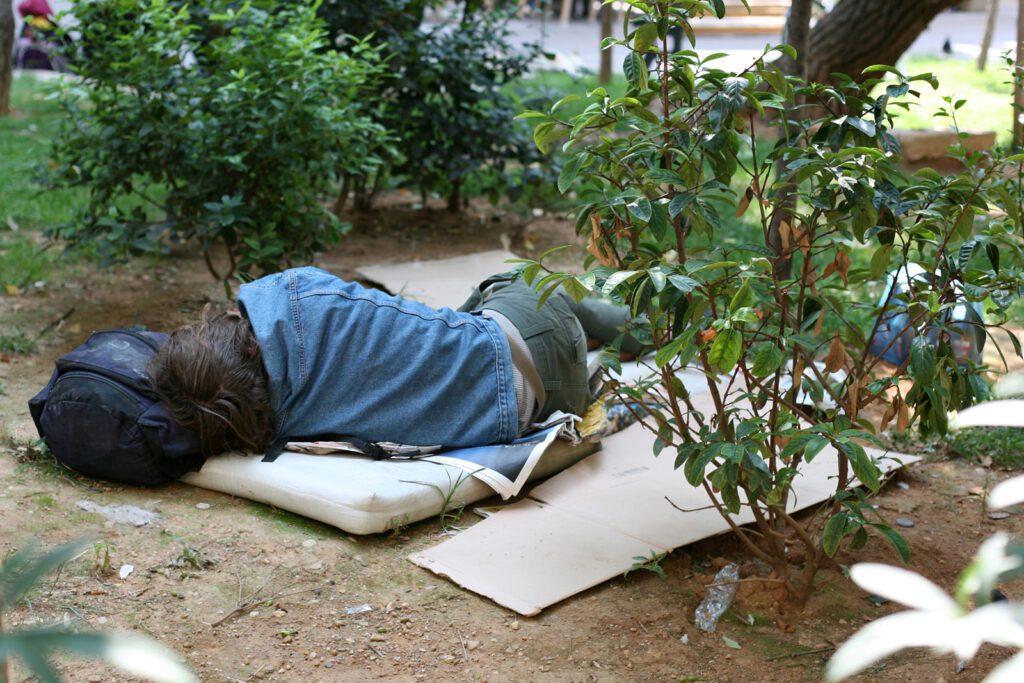 small rough sleeper - Visionwest