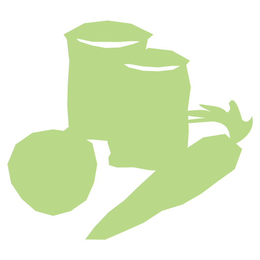 Icons green new4 - Visionwest